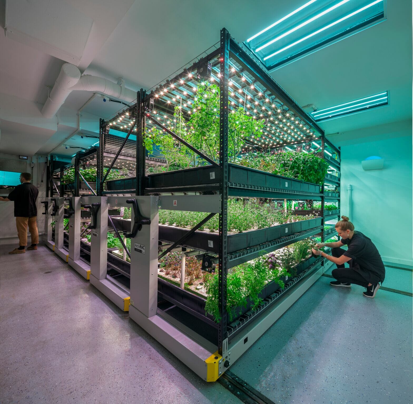 Precision Indoor Vertical Farm Rack System